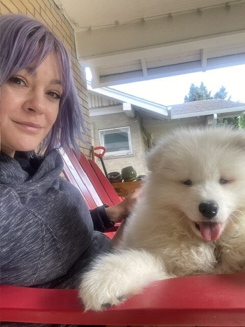 apollo_Samoyed_floof